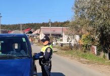 „ȘOFERI” FĂRĂ PERMIS SURPRINȘI LA VOLAN ÎN BOZÂNTA MICĂ ȘI CAVNIC | Cei doi sunt cercetați acum de polițiștii maramureșeni